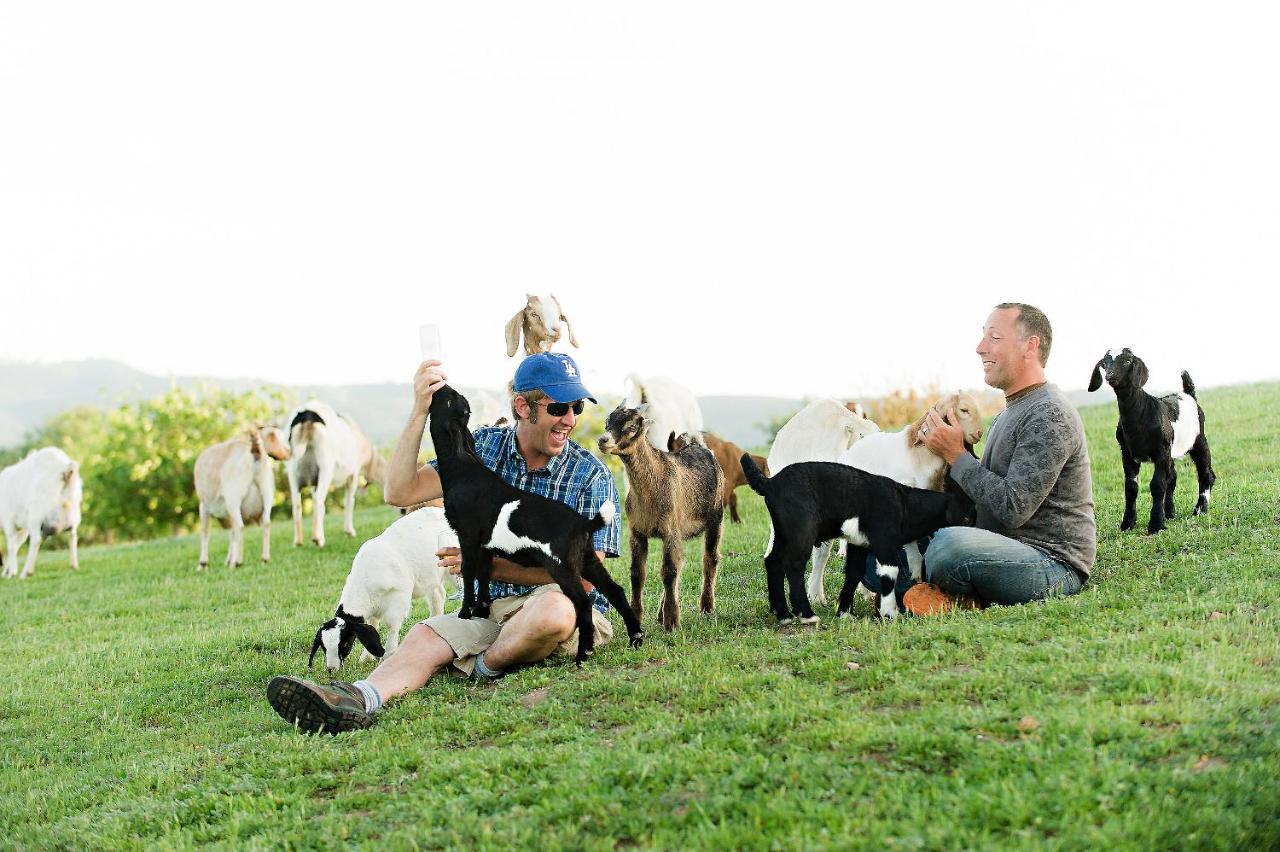 Hotel Reves De Moutons Paso Robles Exteriér fotografie