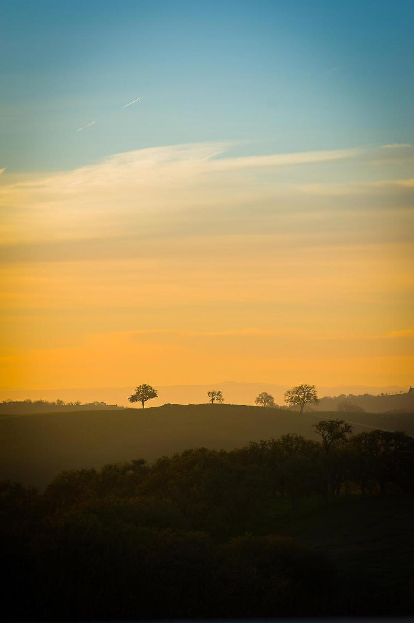 Hotel Reves De Moutons Paso Robles Exteriér fotografie