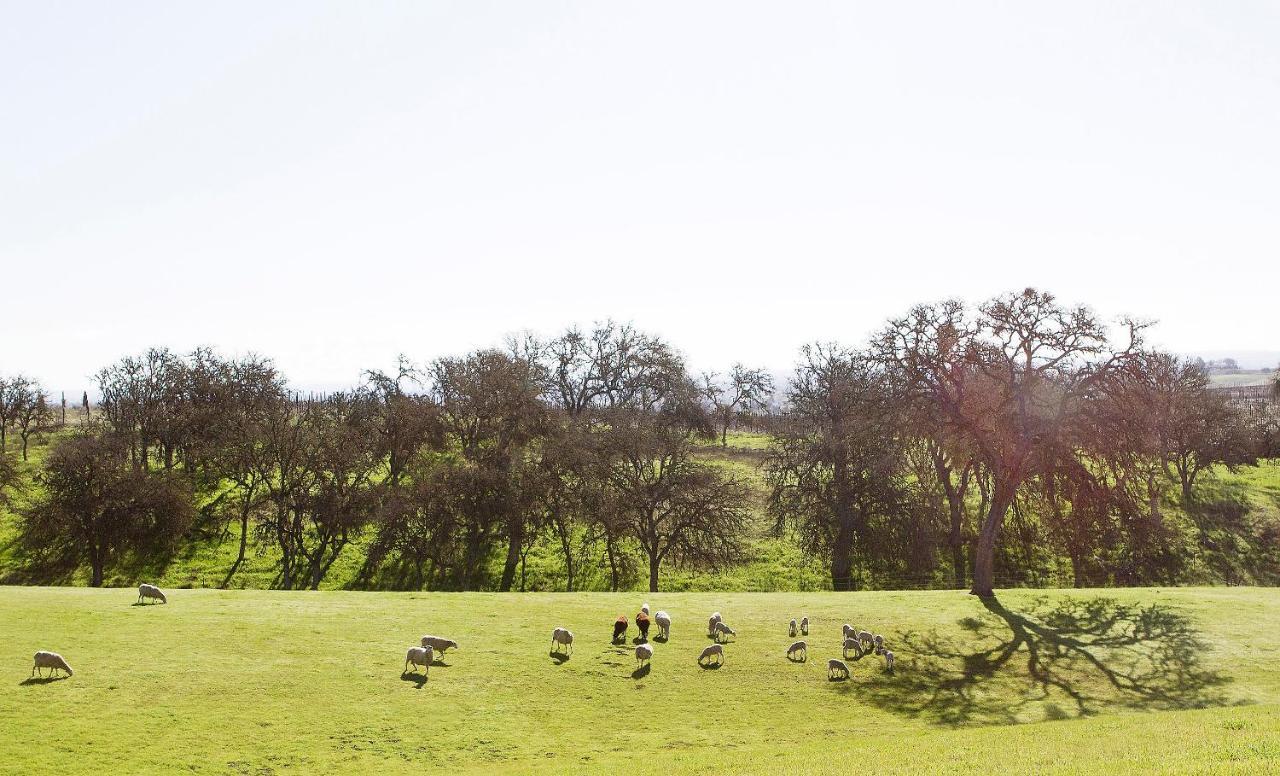Hotel Reves De Moutons Paso Robles Exteriér fotografie