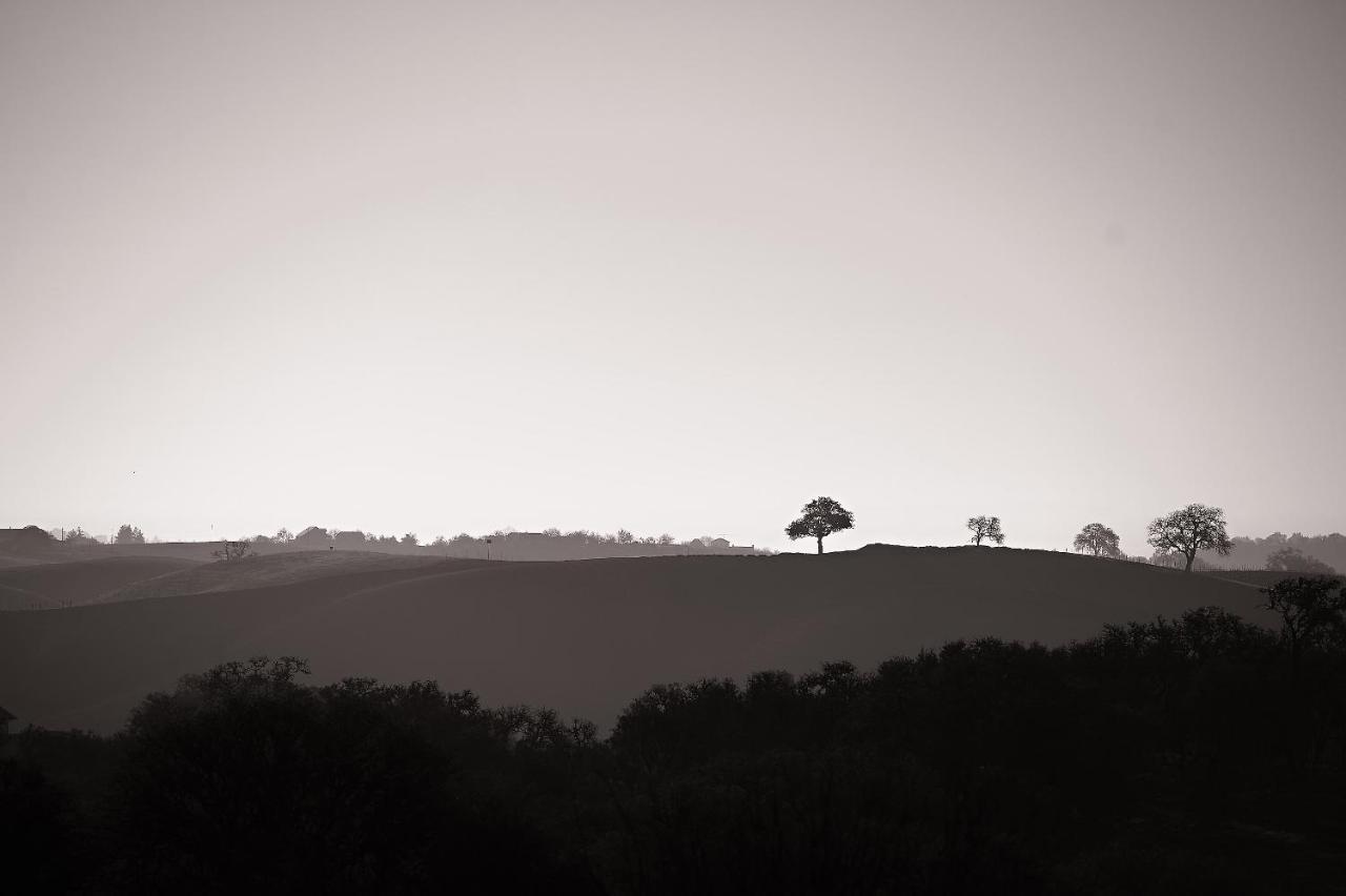 Hotel Reves De Moutons Paso Robles Exteriér fotografie
